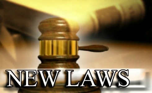 Illinois Laws 2013