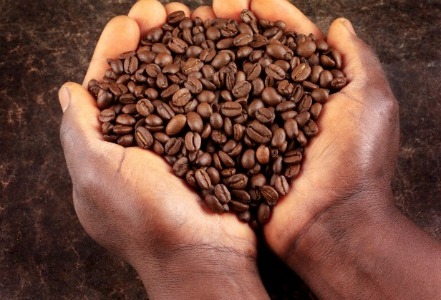 coffee.jpg