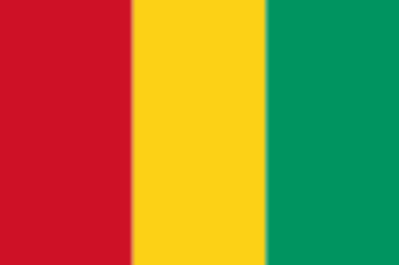 125px-Flag_of_Guinea.png