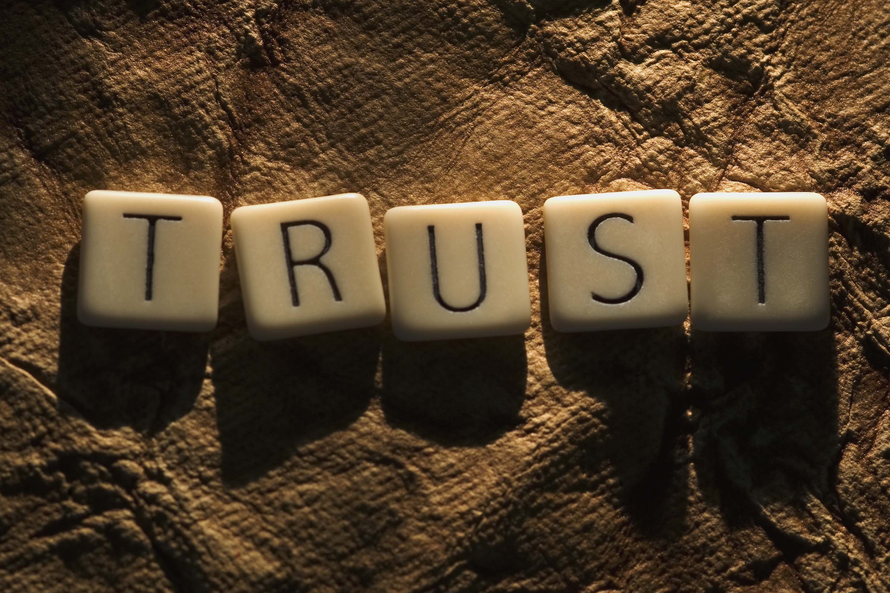 trust11 copy