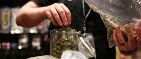 MARIJUANA.jpg