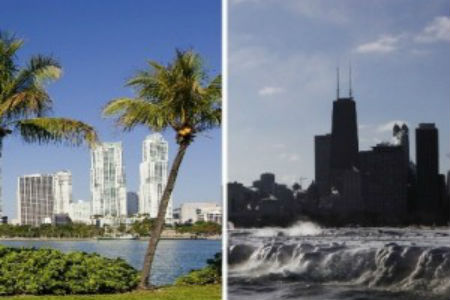 n-MIAMI-CHICAGO-large300
