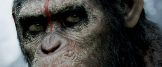 n-DAWN-OF-THE-PLANET-OF-THE-APES-large570