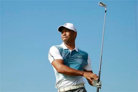 woods