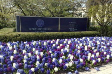 n-NORTHWESTERN-UNIVERSITY-large300