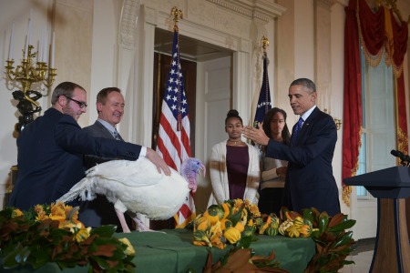 obama-turkey