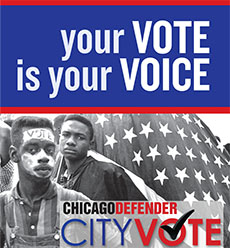Vote cover