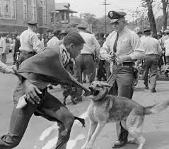 Police sics dog on unarmed non-violent black youth