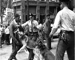 Police Brutality against Blacks seen here using  dogs