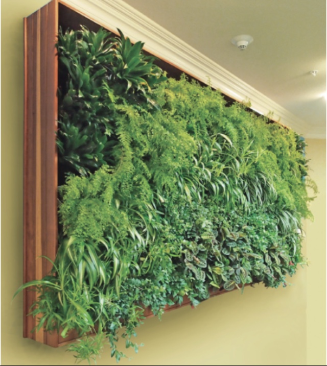 Living Walls by Mac Gordon 