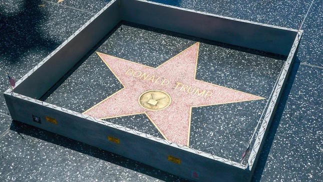 trumpstarwall