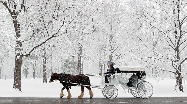 snow and buggy