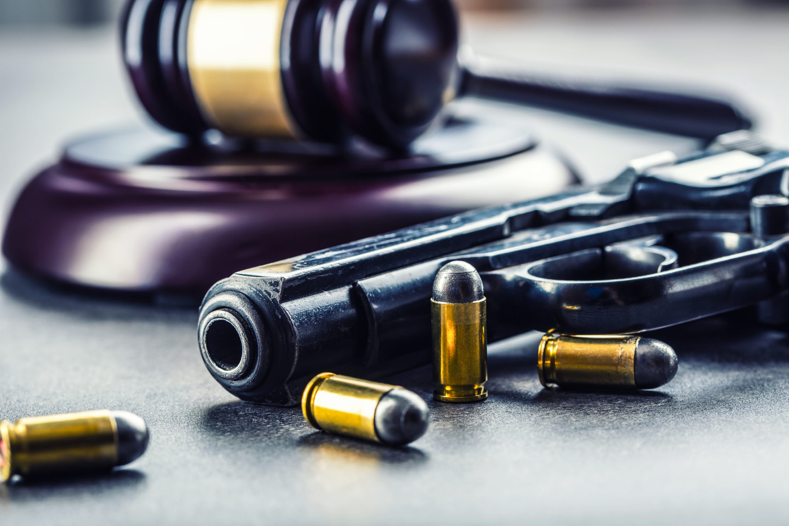 NRA Challenges Illinois Gun Ban Chicago Defender