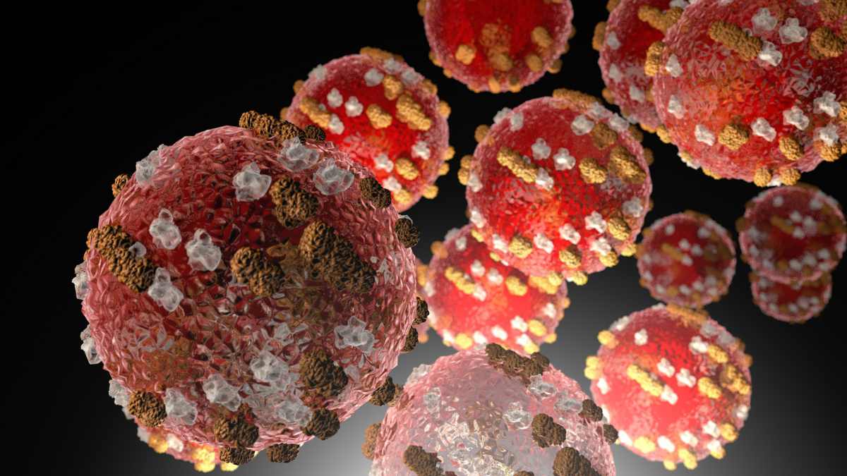 Measles Virus Cells